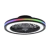 Deckenventilator, Deckenleuchte schwarz, Drehrichtungswechsel mit Rainbow RGB