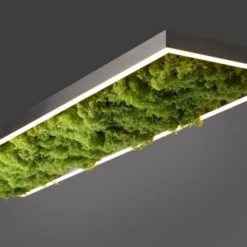 JUST LIGHT LED Deckenleuchte GERDA KNUT rechteckig Islandmoos Simplydim