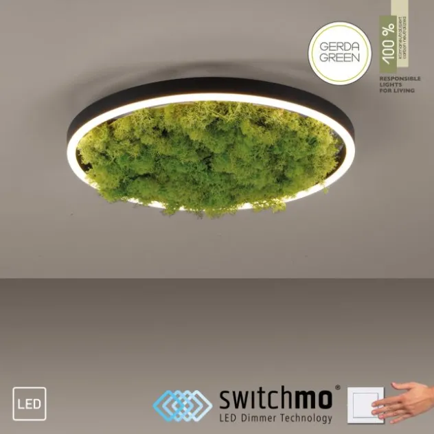 JUST LIGHT LED Deckenleuchte GERDA RITUS 40x40 Island Moos Switchmo 3 Stufen Dimmung