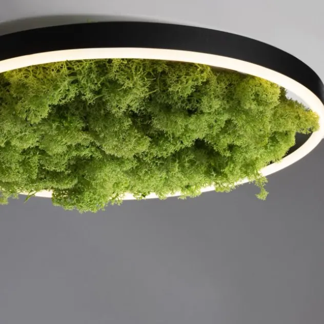 JUST LIGHT LED Deckenleuchte GERDA RITUS 40x40 Island Moos Switchmo 3 Stufen Dimmung
