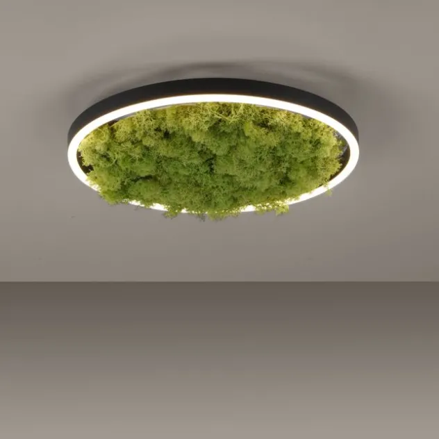 JUST LIGHT LED Deckenleuchte GERDA RITUS 40x40 Island Moos Switchmo 3 Stufen Dimmung