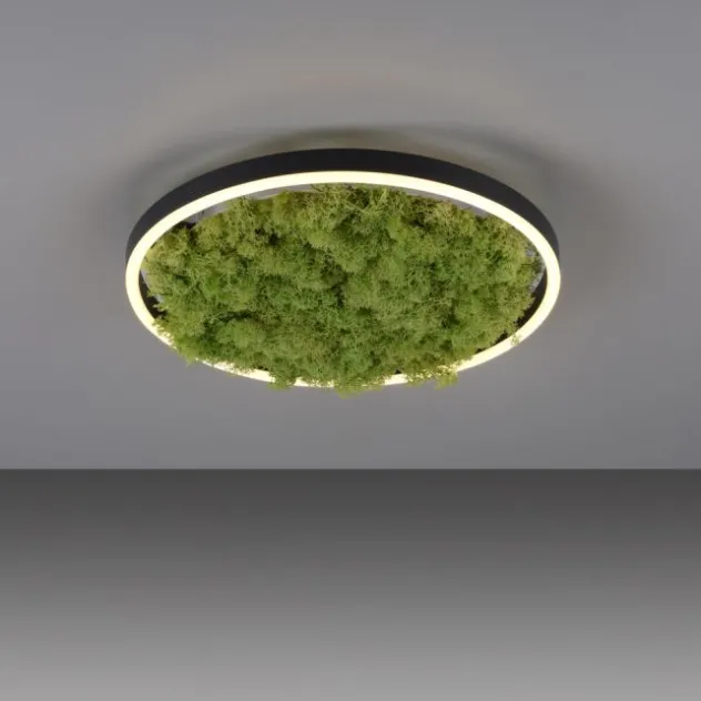 JUST LIGHT LED Deckenleuchte GERDA RITUS 40x40 Island Moos Switchmo 3 Stufen Dimmung