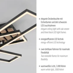 LED Deckenleuchte AKUSTIKA, Holz-natur, modern, schwarz, drehbar