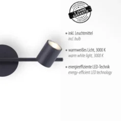 LED Deckenleuchte, anthrazit, 2 Flammig, schwenkbare Leuchtspots