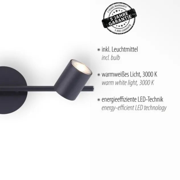 LED Deckenleuchte, anthrazit, 2 Flammig, schwenkbare Leuchtspots