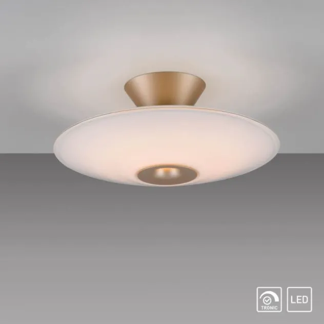 LED Deckenleuchte, ELIPSA, toffee, Tronicdimmer, Opalglas