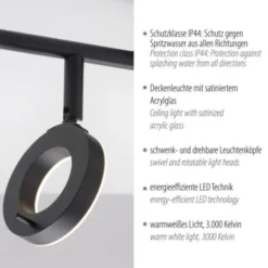 LED Deckenleuchte 2 flammig anthrazitfarbig drehbar IP44 warmweiß