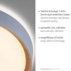 LED Deckenleuchte Holzoptik grau rund dimmbar Wandschalter energiesparend