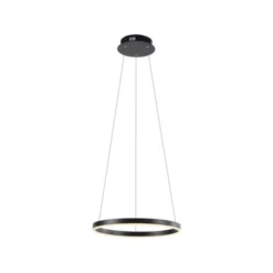 LED Pendelleuchte anthrazit rund Ø40cm dimmbar Switchmo warmweiß