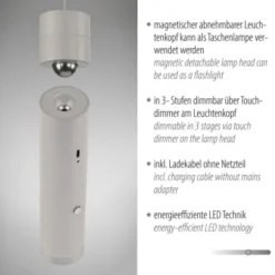 LED Pendelleuchte greige höhenverstellbar magnetischer Kopf Akku