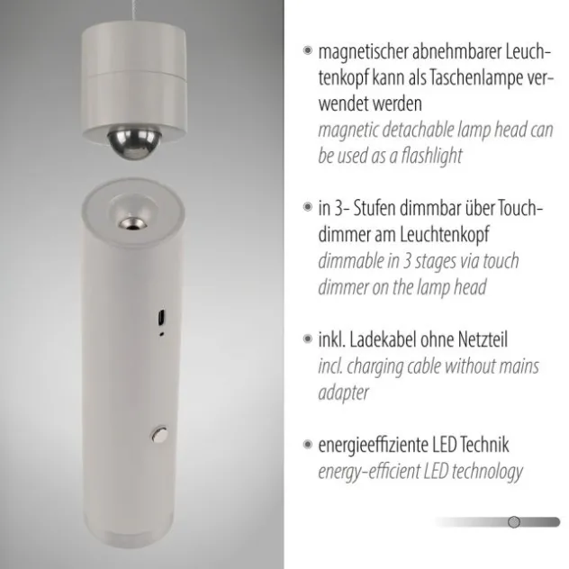 LED Pendelleuchte greige höhenverstellbar magnetischer Kopf Akku