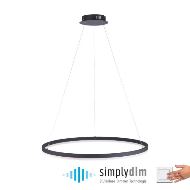 LED Pendelleuchte, rund, anthrazit, Ø 80cm, dimmbar, modern, warmweiß