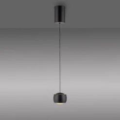 LED Pendelleuchte schwarz 1 flammig höhenverstellbar Esszimmer
