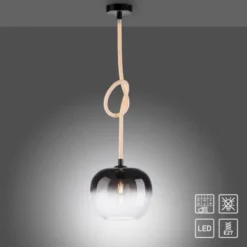 LED Pendelleuchte schwarz 1 flammig Seil beleuchtet höhenverstellbar