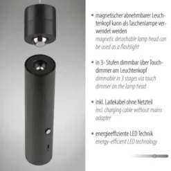 LED Pendelleuchte schwarz höhenverstellbar magnetischer Kopf Akku
