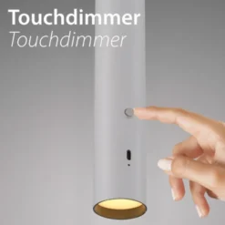 LED Pendelleuchte weiß höhenverstellbar magnetischer Kopf Akku