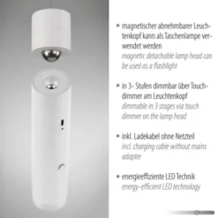 LED Pendelleuchte weiß höhenverstellbar magnetischer Kopf Akku