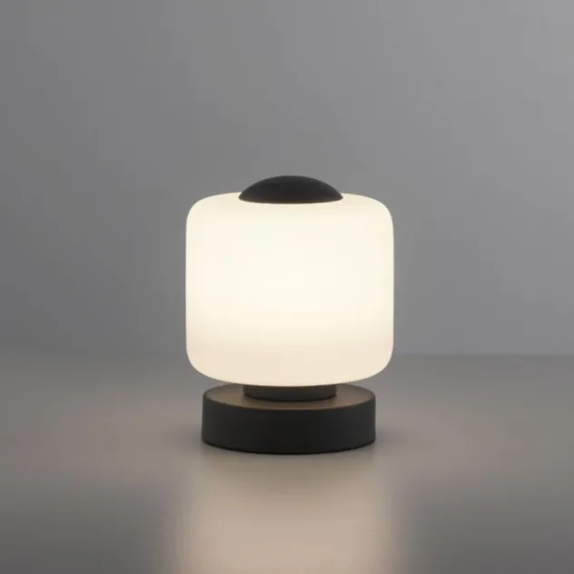 LED Tischleuchte anthrazit farbig rund Touchdimmer zeitloses Design