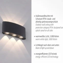 LED Wandlampe 6 flammig anthrazit farbig Außenlampe Innenlampe dekorativ