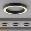 Neuhaus PURE® LED Deckenleuchte PURE Lines Round, graphite, 35 cm, dimmbar
