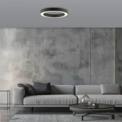 Neuhaus PURE® LED Deckenleuchte PURE Lines Round, graphite, 35 cm, dimmbar