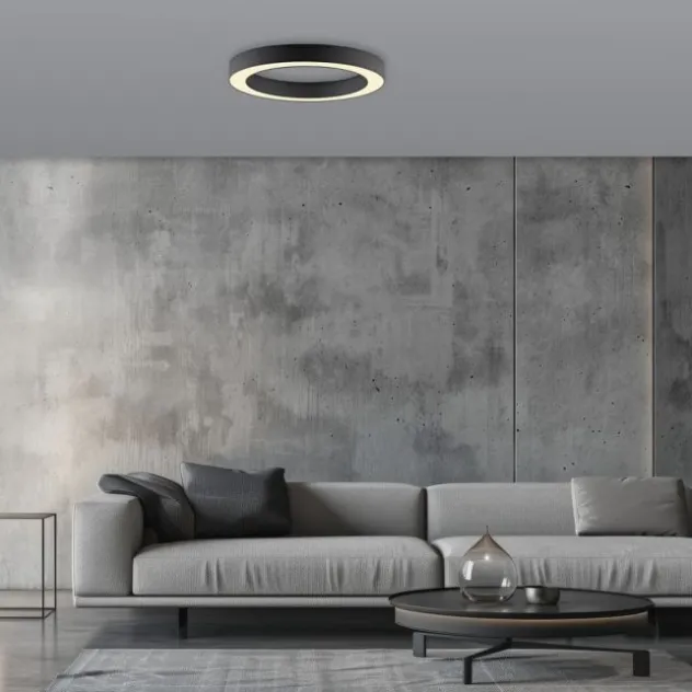 Neuhaus PURE® LED Deckenleuchte PURE Lines Round, graphite, 35 cm, dimmbar