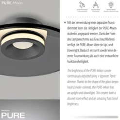 Neuhaus PURE® LED Deckenleuchte PURE Moon, platin (grau), dimmbar