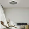 Neuhaus PURE® LED Deckenleuchte PURE Moon, platin (grau), dimmbar