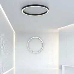 Neuhaus PURE® LED Deckenleuchte PURE Lines Round, graphite, 70cm, CCT, Fernbedienung