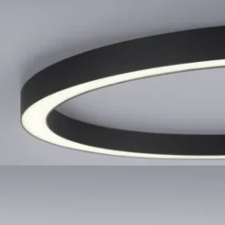 Neuhaus PURE® LED Deckenleuchte PURE Lines Round, graphite, 70cm, CCT, Fernbedienung