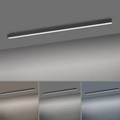 Neuhaus PURE® LED Deckenleuchte PURE Lines Straight graphite dimmbar