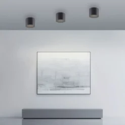 Neuhaus PURE® LED Deckenleuchte PURE Point, black pearl, Indoor, dimmbar