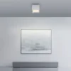 Neuhaus PURE® LED Deckenleuchte PURE Manhattan,stone