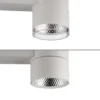 Neuhaus PURE® LED Deckenleuchte PURE Nola weiß 2 flammig drehbar dimmbar
