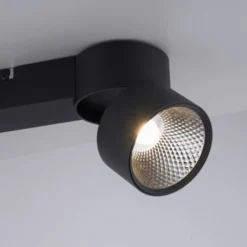 Neuhaus PURE® LED Deckenleuchte PURE Nola, schwarz, 2-flammig, drehbar, dimmbar