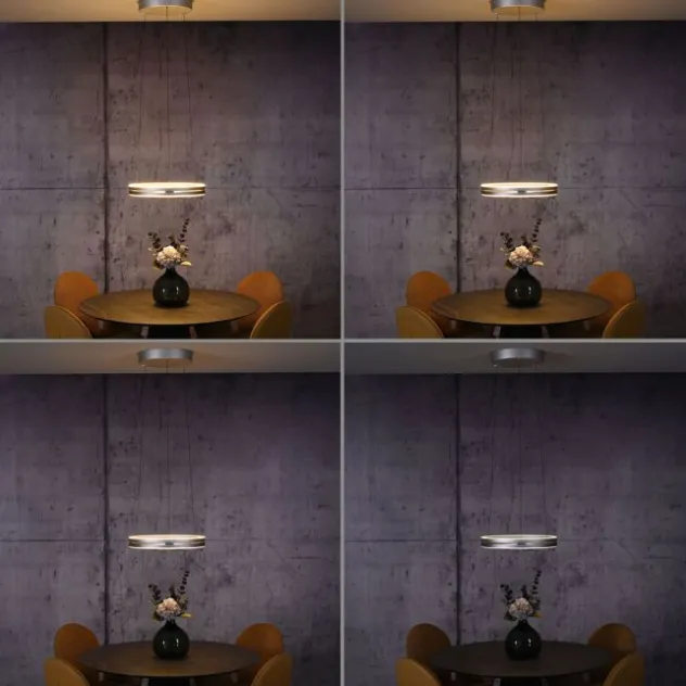 Neuhaus PURE® LED Pendelleuchte PURE E-Loop stone (alu)