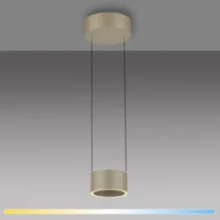 Neuhaus PURE® LED Pendelleuchte PURE Clipse, bronce, Fernbedienung, dimmbar
