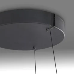 Neuhaus PURE® LED Pendelleuchte PURE E-Loop oak/ black pearl