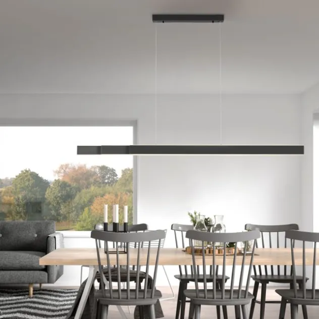 Neuhaus PURE® LED Pendelleuchte PURE Lume, graphite