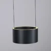 Neuhaus PURE® LED Pendelleuchte PURE Clipse, platin (grau), Fernbedienung, Comfort Lift