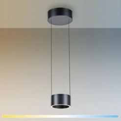 Neuhaus PURE® LED Pendelleuchte PURE Clipse, platin (grau), Fernbedienung, Comfort Lift