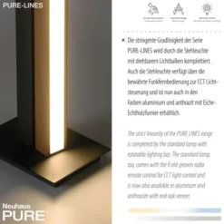 Neuhaus PURE® LED Stehleuchte PURE-LINES Floor oak/ graphite