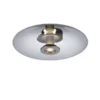 Neuhaus PURE® LED Wand- und Deckenleuchte PURE Vitrum, platin (grau), Rauchglas