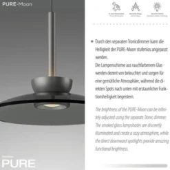 Neuhaus PURE® Pendelleuchte PURE Moon platin (grau) höhenverstellbar 3-flammig
