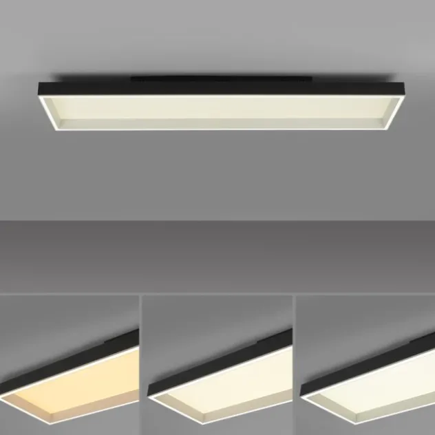 Paul Neuhaus LED Deckenleuchte Q-MAGONG schwarz steuerbar Smarthome