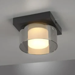Paul Neuhaus LED Deckenleuchte 1 flammig dimmbar per Switchmo