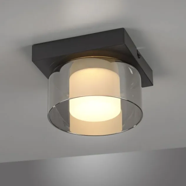 Paul Neuhaus LED Deckenleuchte 1 flammig dimmbar per Switchmo