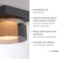 Paul Neuhaus LED Deckenleuchte 1 flammig dimmbar per Switchmo