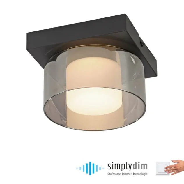 Paul Neuhaus LED Deckenleuchte 1 flammig dimmbar per Switchmo