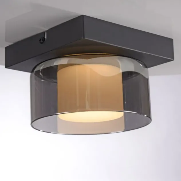 Paul Neuhaus LED Deckenleuchte 1 flammig dimmbar per Switchmo